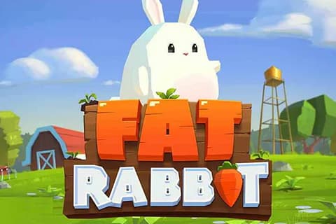 Fat Rabbit